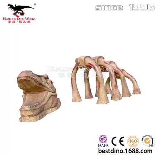 巨型玻璃钢霸王龙骨架作品 华龙工厂仿真恐龙模型如何成为景区引流宠儿